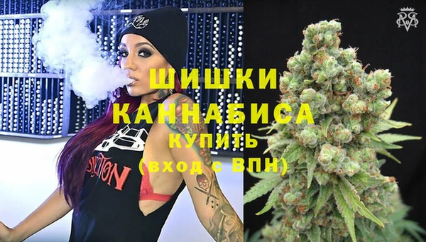 гашик Заводоуковск