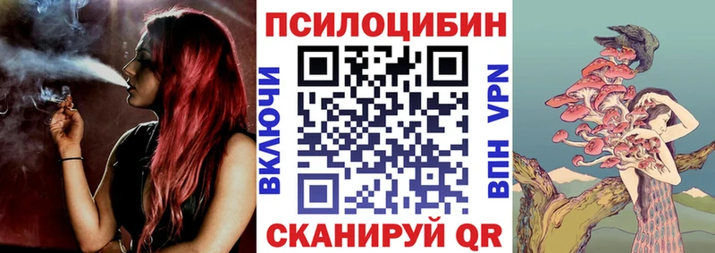 дарнет шоп  Славск  Псилоцибиновые грибы Psilocybine cubensis 